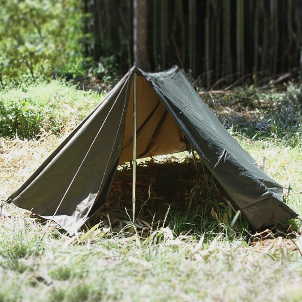 Buy Austrian Army Shelter Half W Poles and Stakes for USD 23.99 39.99 Swisslink