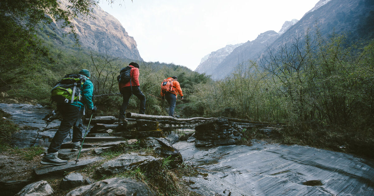 Three trekkers wearing bright gear and rucksacks use a small log bridge to walk over a creek. Three trekkers wearing bright gear and rucksacks use a small log bridge to walk over a creek.